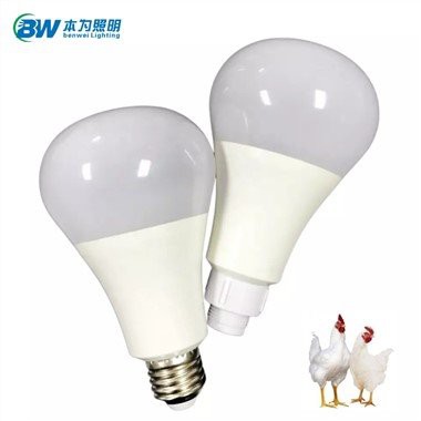 Led světlo pro svině