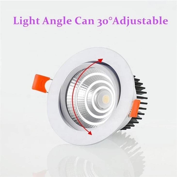 Downlights With Changeable Bulbs