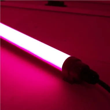 červené LED světlo pro drůbež