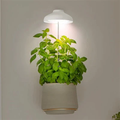 Umbrella Grow Light