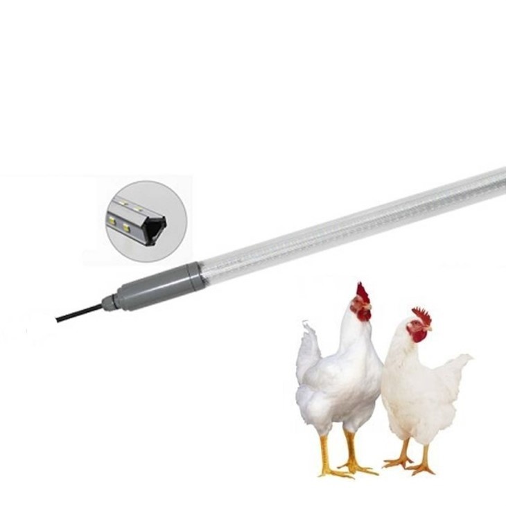 chicken coop lamp