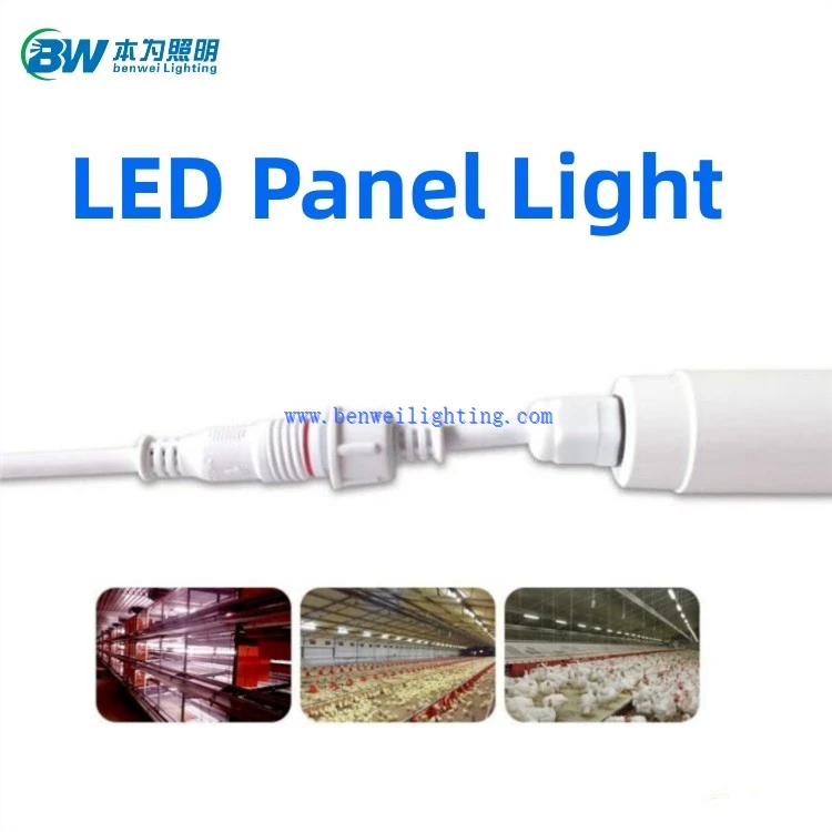 battery operated light for chicken coop