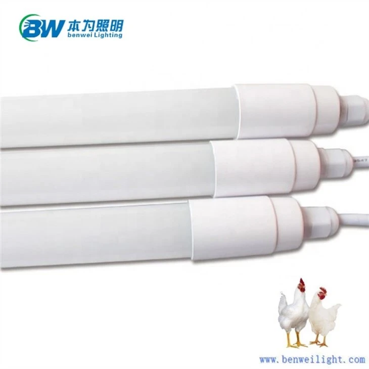 Chicken Coop Light 20w 5000k