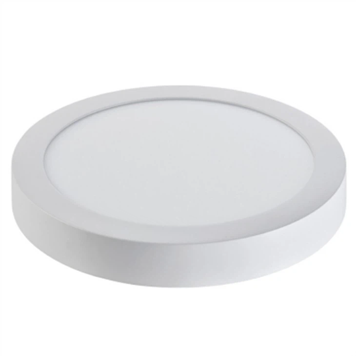 Disk Ceiling Lamp