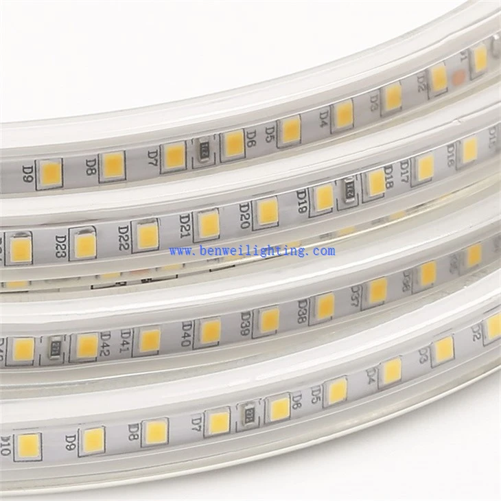 Dynamic RGB LED Strip Light (4)