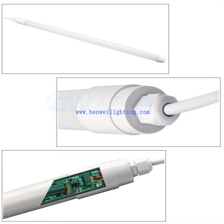 Egg Production Light (5)