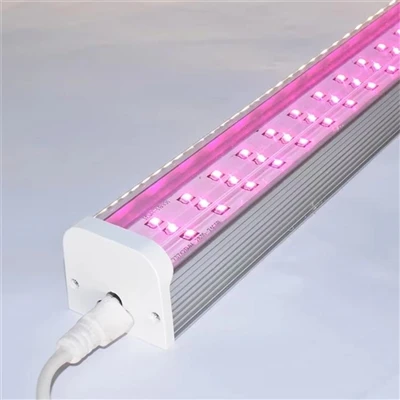 Ultimate Grow Light pro sukulenty, bylinky a zeleninu: Kompletní průvodce