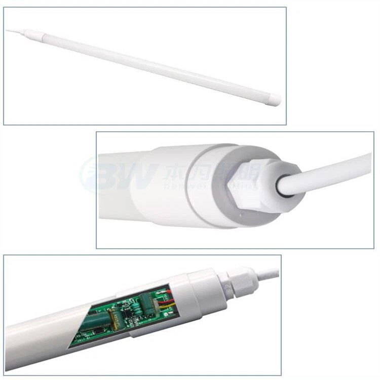 Egg Production Light 5 Egg Production Light 5