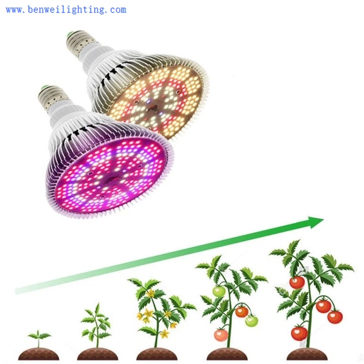 grow light bulbs
