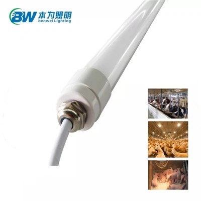 3000k Poultry Led Lighting