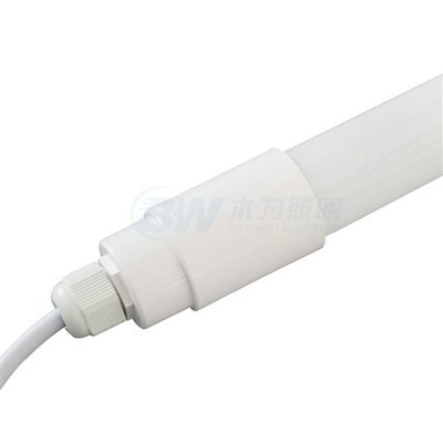 4FT LED osvětlení pro drůbež